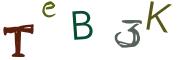 Bild-CAPTCHA