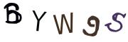 Bild-CAPTCHA