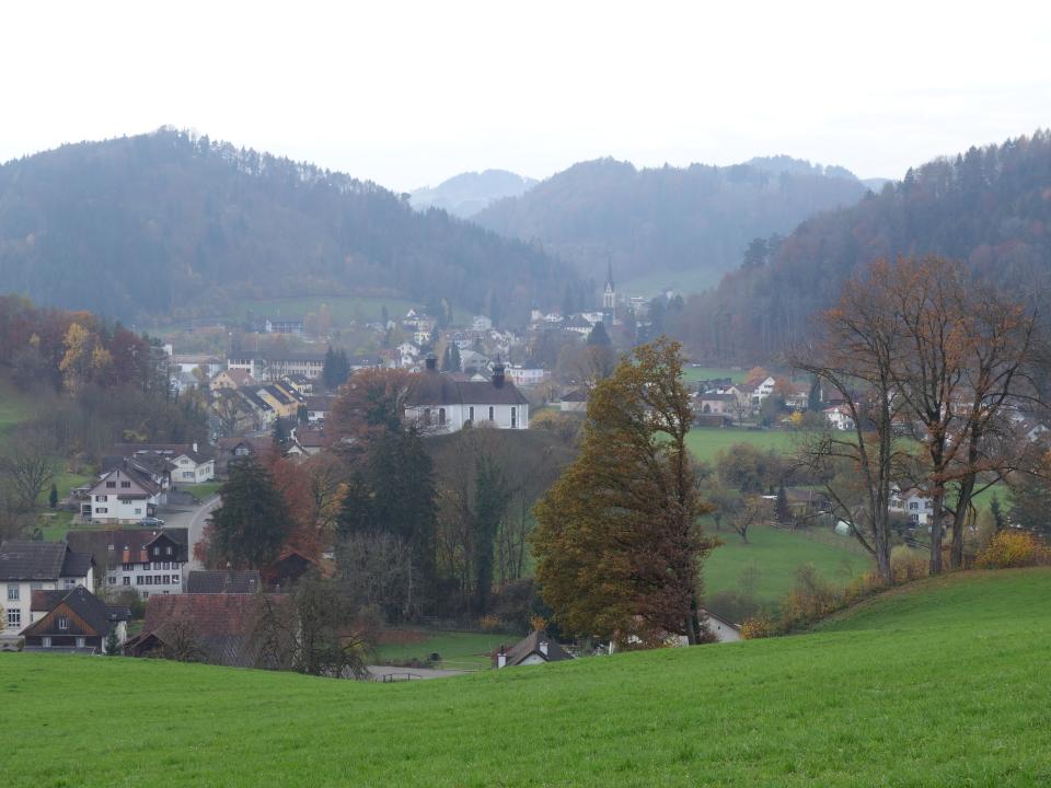 Blick auf Martinsberg, Oberwangen/cw