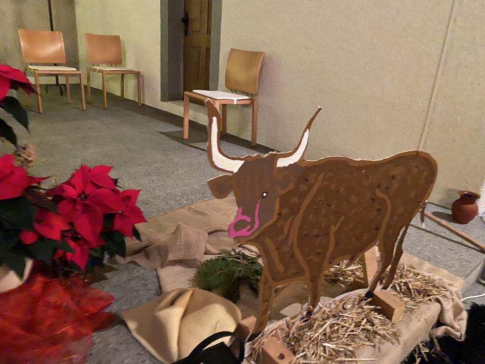 Ochse schaut auf das Geschehen