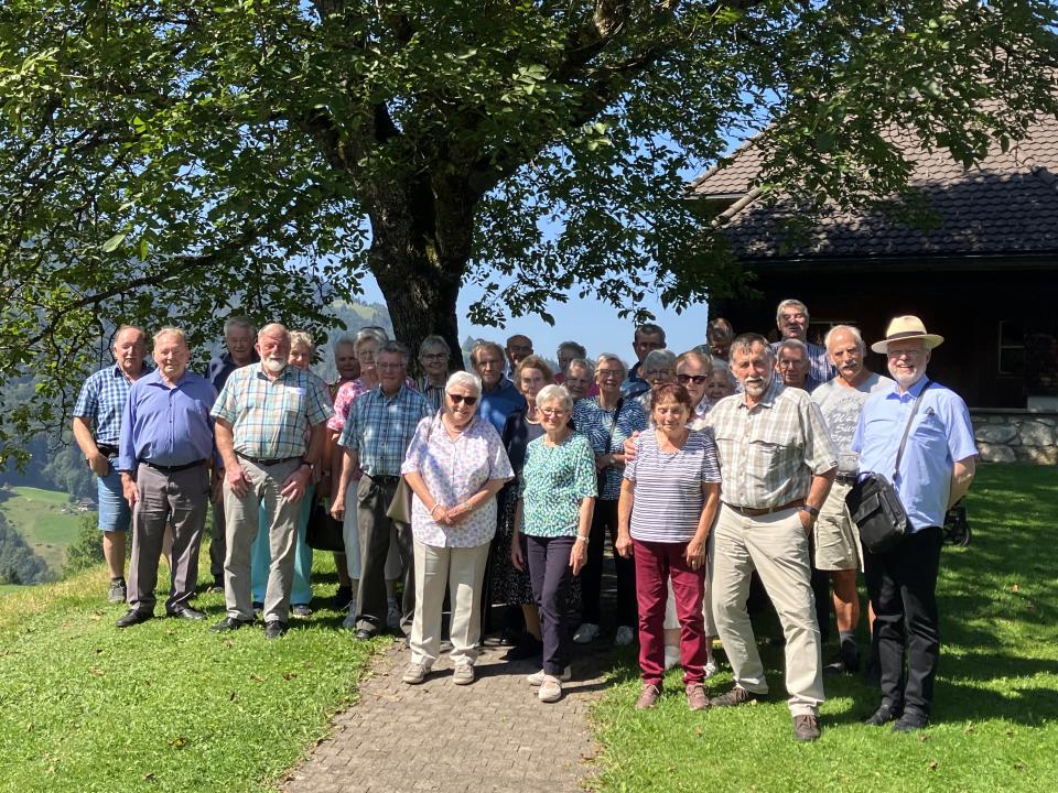 im Schatten der Bäume