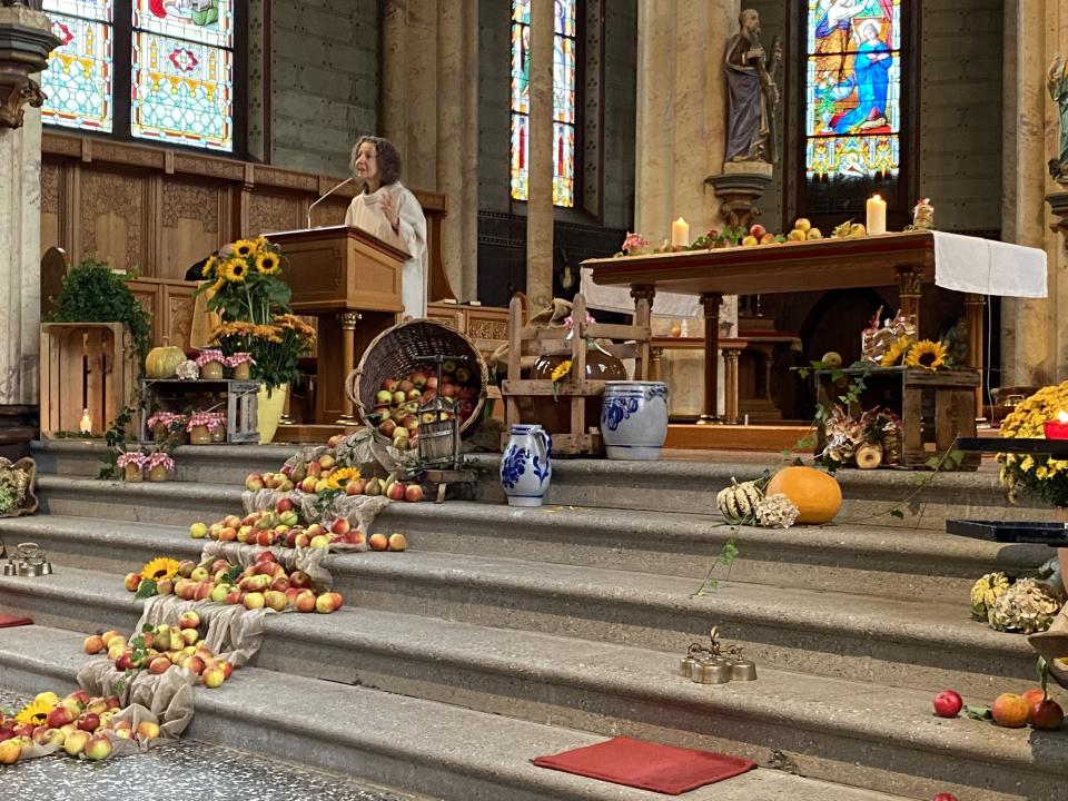 Pastoralraumleiterin D. Albus