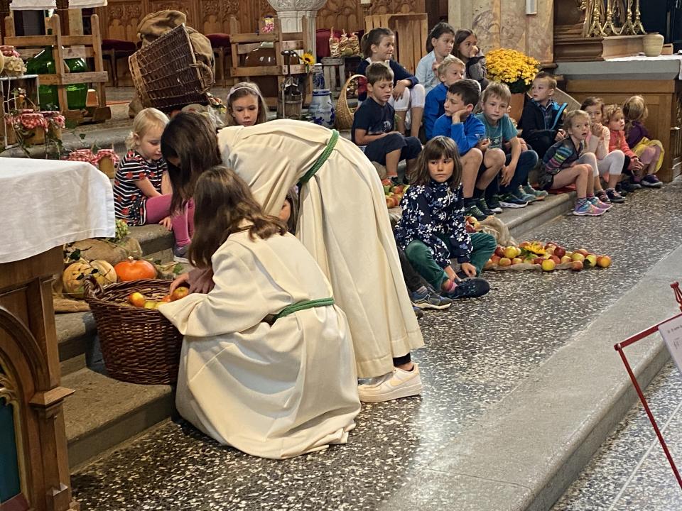 Minis legen Äpfel in den Korb.