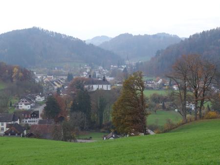 Blick auf Martinsberg, Oberwangen/cw