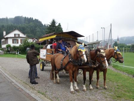Wildblumen - Neophyten