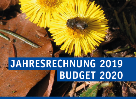 Urnenabstimmung ordentliche KGV