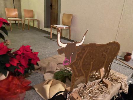 Ochse schaut auf das Geschehen