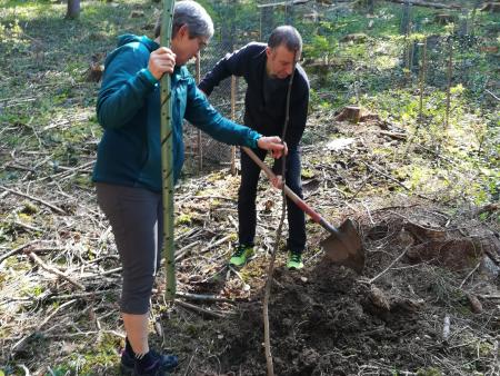 Waldbegehung der KiVo Fischingen