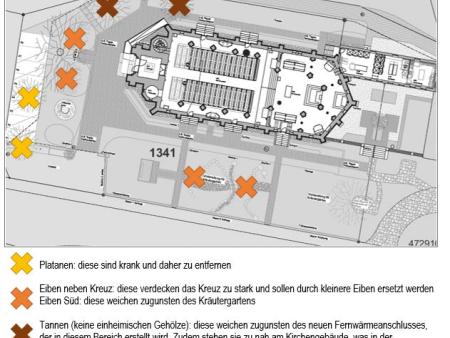 Rodungs-Aktion im Januar / Februar 2023 