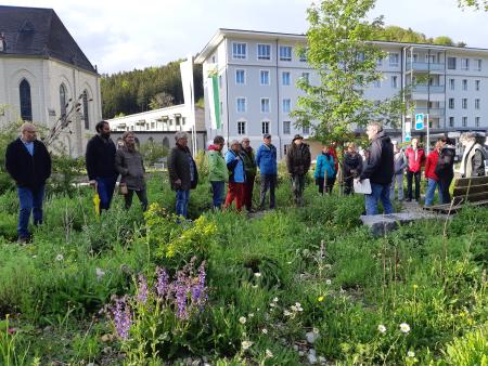 Ein Vortrag über das Leben in der Wildblumenwiese