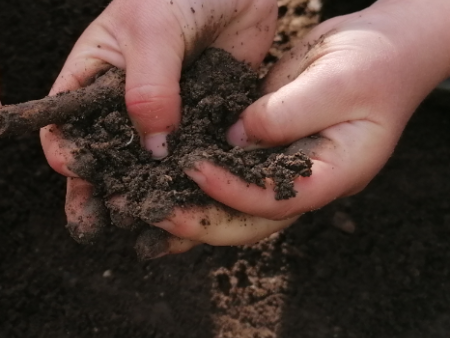 Schöpfungsgottesdienst
