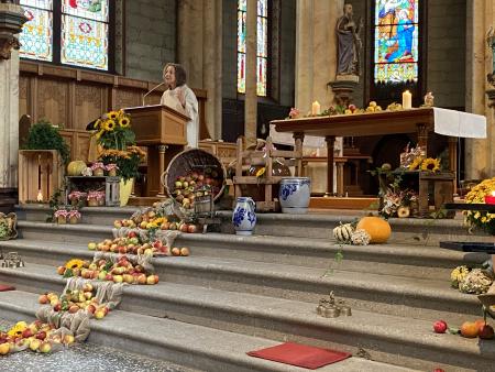 Pastoralraumleiterin D. Albus