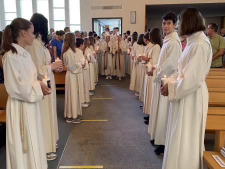 Minis stehen Spalier