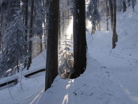 Versöhnungsweg 19. bis 29. März 2023