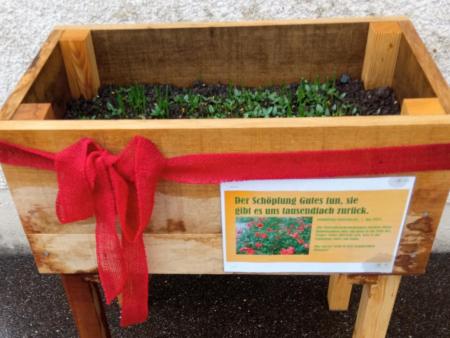 Schöpfungsgottesdienst