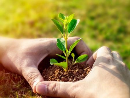 Feier zur Rezertifizierung Grüner Güggel