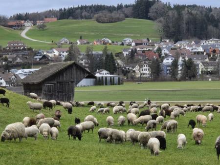 Ökumenische Bibellektüre